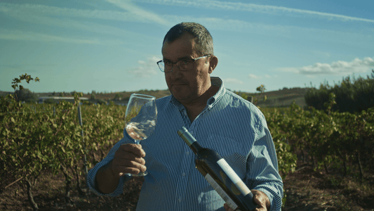 Experiências de Prova